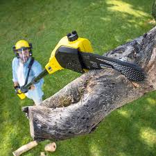 Best Tree Mulching Services  in Vicksburg, MS